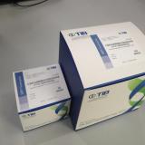 乙型肝炎病毒(HBV)基因分型检测试剂盒（PCR-反向点杂交法）