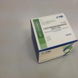 乙型肝炎病毒(HBV)核酸定量检测试剂盒（荧光PCR法）