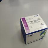 丙型肝炎病毒（HCV）基因分型检测试剂盒（PCR-荧光探针法）