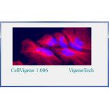 CellVigene图像分析软件