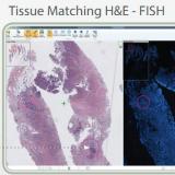 Tissue Matching H&E - FISH自动定位组织扫描仪