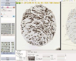 数字病理图像分析软件TMAworkflow