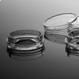 NEST玻底培养皿(便于共聚焦显微镜观察)，细胞培养皿，细菌培养皿