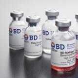 BD Matrigel基底膜/基质胶
