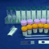 液基细胞处理试剂盒